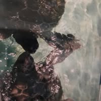 96715365_100988208292565_4660831452294807552_n