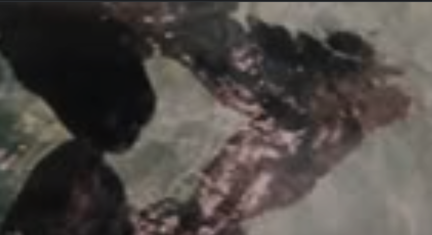 Captura de pantalla 2026-02-28 a las 19.36.05